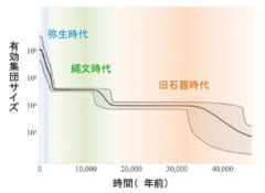 有効集団サイズの変化