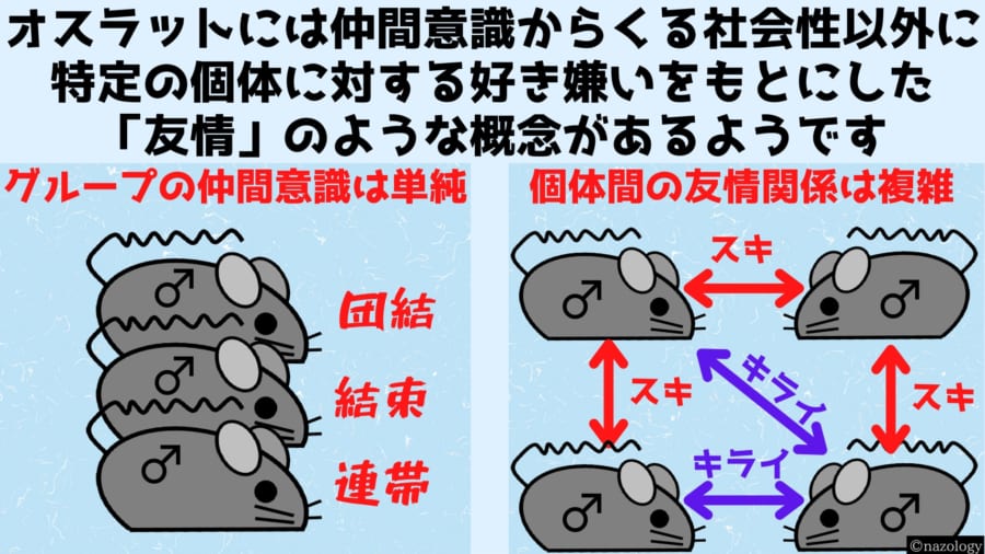 実験室の環境と野生は異なるが、実験室にすむラットは2000万引きにもおよぶため、適応される範囲は広大だと言える