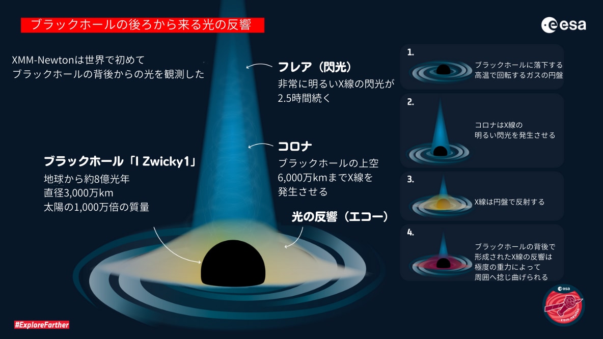 今回の発見の概要を示したイラスト