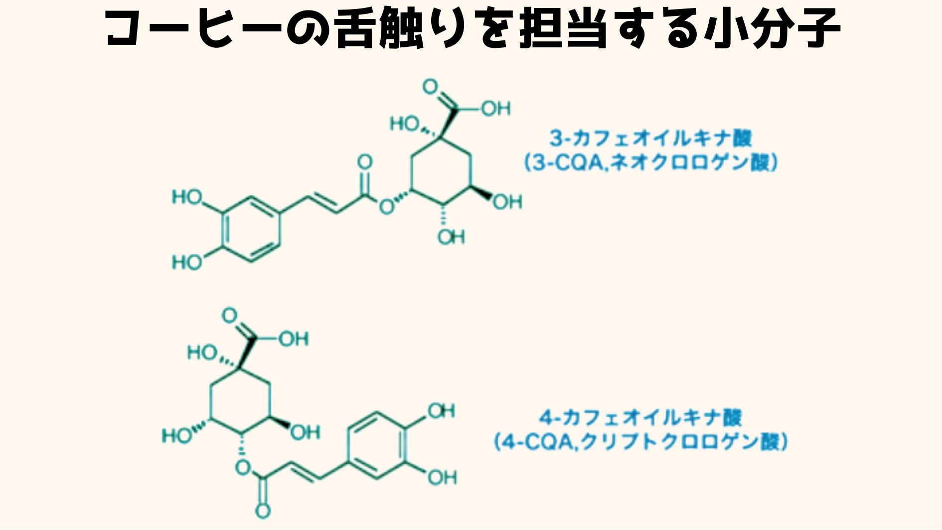 質感の要素は糖類や脂肪ではなく小分子が担当していた