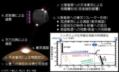 フォボスのサンプルに生きた微生物が含まれる可能性は極めて低い