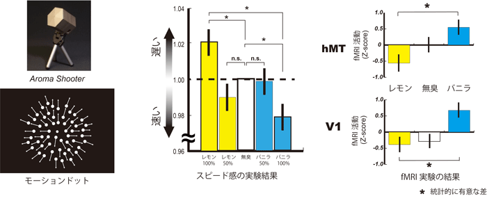 スピード感の変化（中央）、fMRIで観察された脳活動の変化（右）