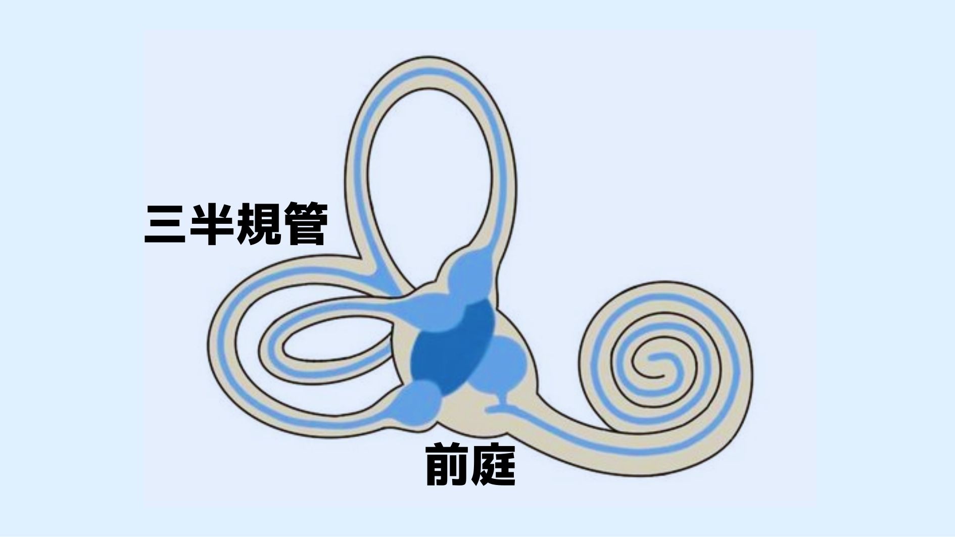 重力の遮断がより純粋な触覚を与えていた