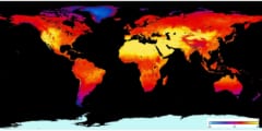 2021年7月の地上表面温度