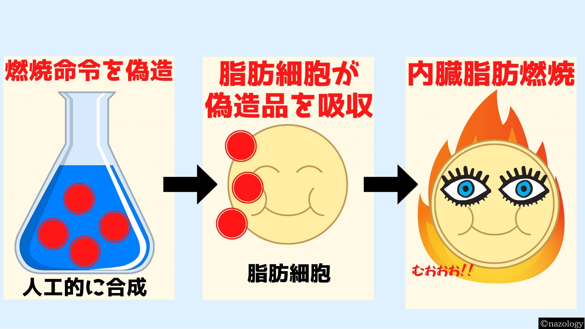 脳から発せられる脂肪の燃焼指令を偽造する