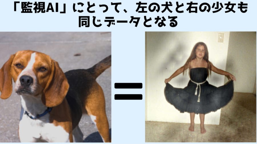 監視ソフトは犬の写真と少女の写真を同じと認識していた