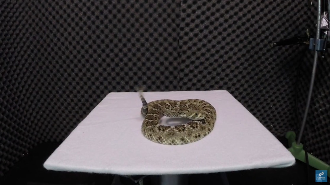 e1e86f474bc1770fb9f820236099ef