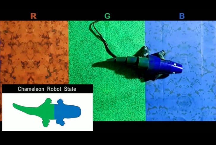 歩きながらカモフラージュできる「カメレオン型ロボ」が開発される