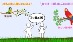 伝統を重んじる鳥と聞いたことのない新しいものが好きな鳥。そこからオウムは分岐したのかも？