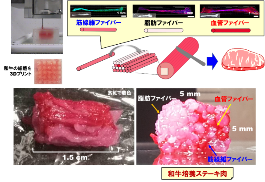 3Dプリント金太郎飴技術による和牛培養ステーキ肉の作製