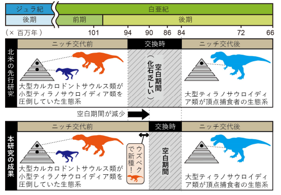 新種の発見により空白期間がわずかに埋まる