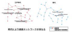 細菌ネットワークの違い