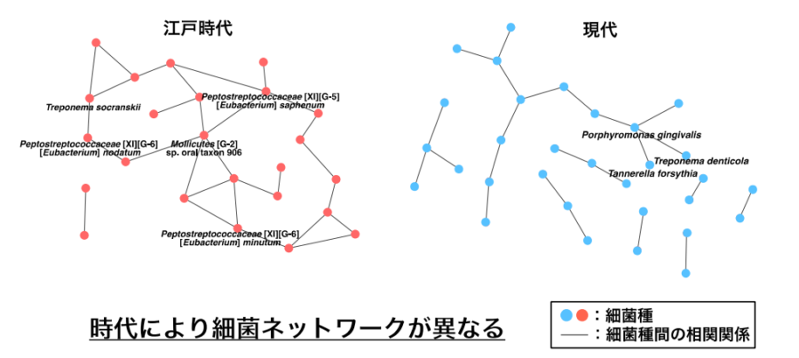 細菌ネットワークの違い