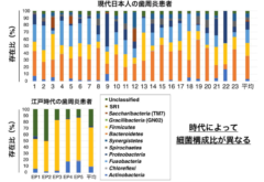 細菌組成の違い