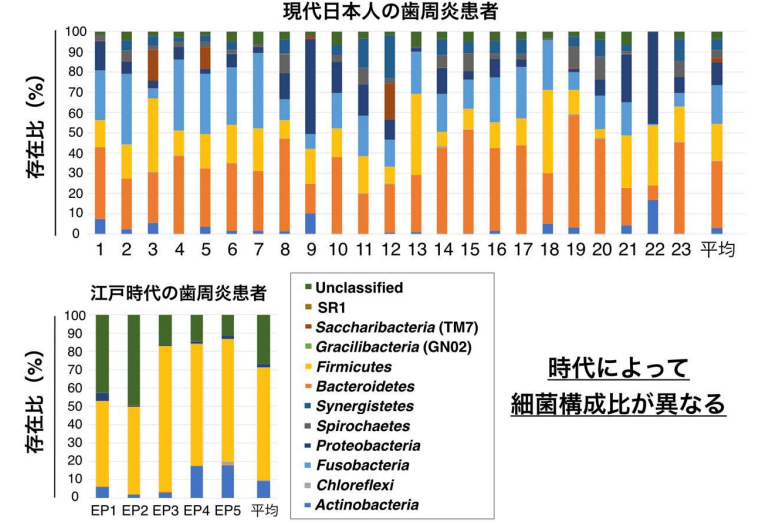 細菌組成の違い