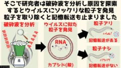 破砕液の中にはウイルスに似た粒子が含まれており、記憶の転送をになっていた