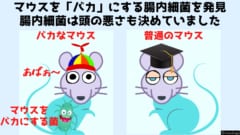 マウスを「バカ」にする腸内細菌を発見！