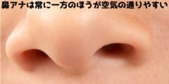 鼻呼吸は均等ではなく常に片方のアナが75%の空気量を通していると判明！