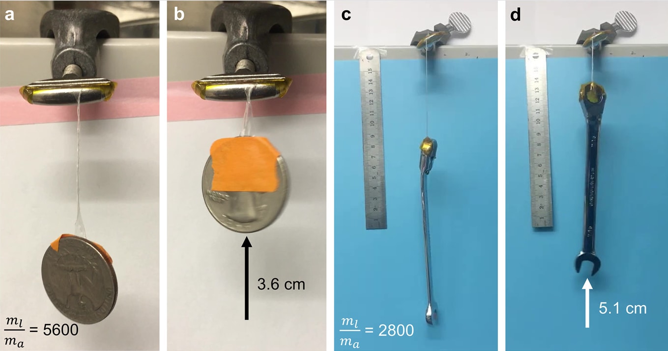ポリマーの自重の5000倍もある物体を持ち上げることができた