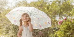 植物を守る微生物は雨の中にも含まれていた