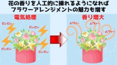 狙った時間に花の香りを増やせるかもしれない