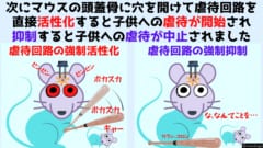 子どもを虐待するときだけ活性化する「脳の虐待回路」が見つかるの画像 4/7