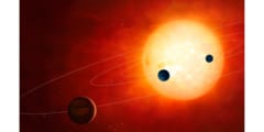 太陽に似た星の4分の1は自星系の惑星を食べている