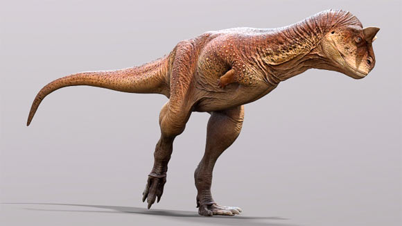 image_10056_1-Carnotaurus-sastreiの画像