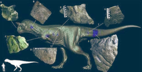 image_10056_2-Carnotaurus-sastreiの画像