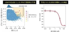 LIGHTHOUSE による PPAT 阻害剤の予測と検証