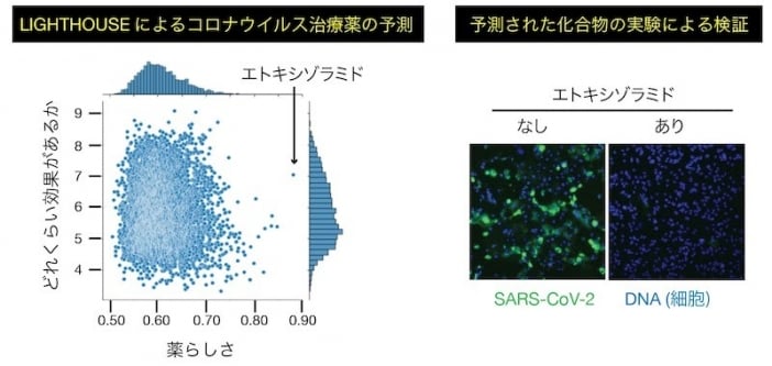 LIGHTHOUSE によるコロナウイルス治療薬の発見