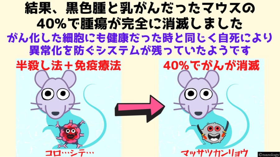 結果、40%で腫瘍が完全に消滅するという素晴らしい結果が得られました。免疫療法と半殺し法の組み合わせは未来のがん治療におけるスタンダードになるかもしれません