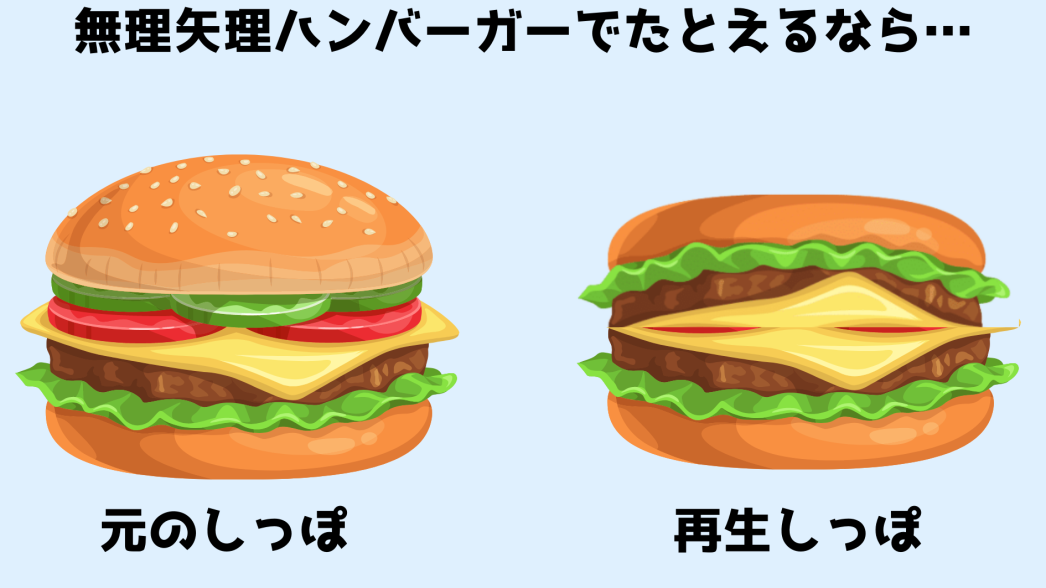 再生されたしっぽは腹と背の区別がなくなってしまう。無理やりハンバーガーに例えると再生されたしっぽはどっちも下のパンみたいな状態。