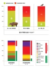 果物の種子散布者のタイプと、追熟/非追熟性の関係(上)。果物の追熟/非追熟性と、果皮の色の関係(下)