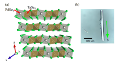 (a) Ta2PdSe6の結晶構造 (b)育成した単結晶試料 
