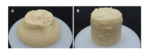 ジャガイモ粉末のペーストを3Dプリントした結果、水のみ（A）とナタピューレ（B）