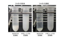 ナタピューレ中での分散性を確かめる実験