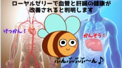 ローヤルゼリーに動脈硬化予防と肝機能改善効果があると判明！