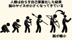 人工的環境は生物の肉体を変えてしまう