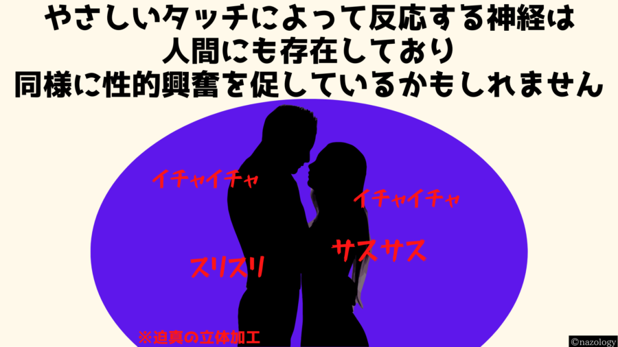 遺伝操作で「タッチ」の代わりに「青い光」で発情するマウスを作成！