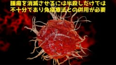 がん細胞の半殺し信号を認識するには免疫力のブーストが不可欠