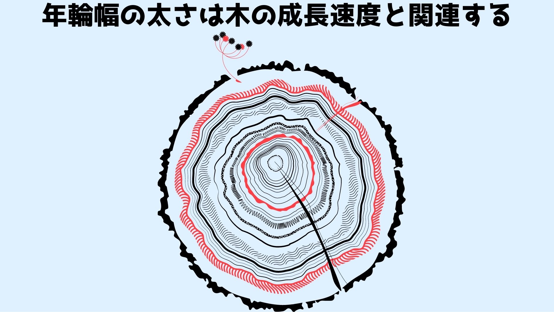 地震と木の成長速度の関係を見抜いた水文学者