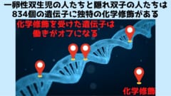 かつて双子であった痕跡はDNAに付着した化学修飾に存在する