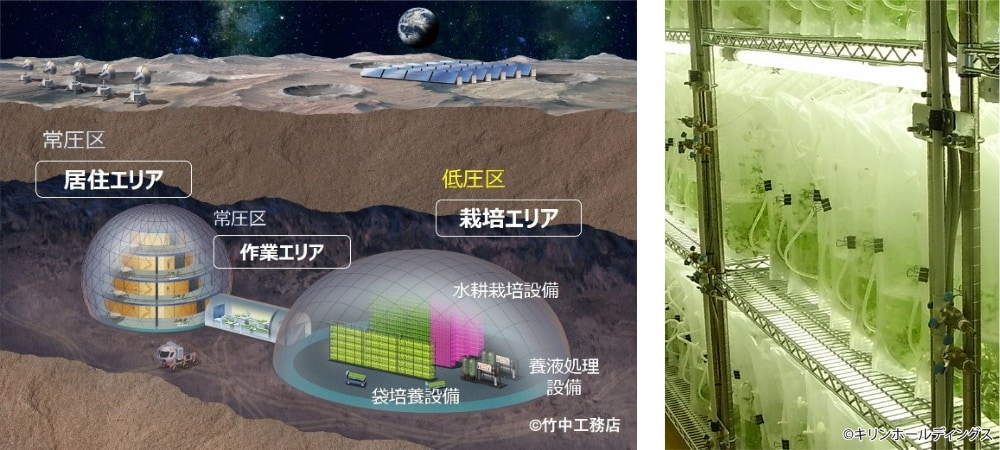 月面農場モデルイメージ（左）、地上での袋型培養槽による栽培の様子