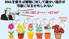 植物たちの生の声を聴く「植リンガル」や開花時期の調節が可能になる