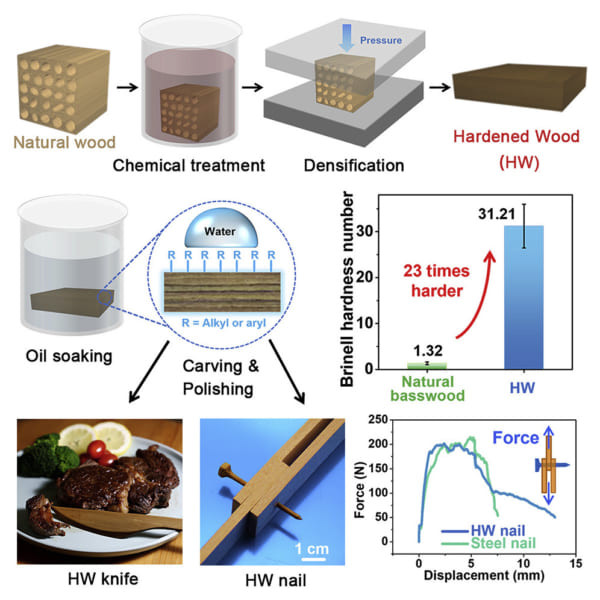 硬い木材を作り出す加工の概要