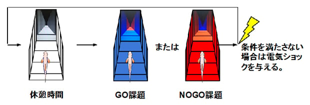 ゼブラフィッシュはルールを学習して電撃をさけるようになる