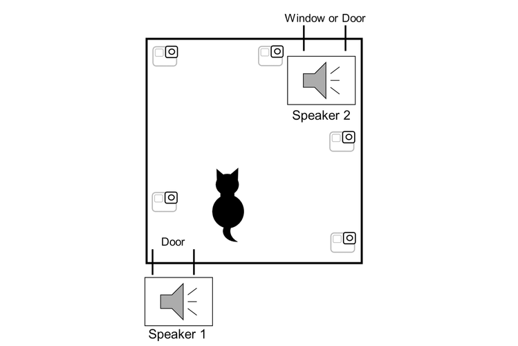 数秒後に別の方向から飼い主の声が聞こえてきたら？