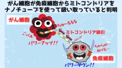 がん細胞が免疫細胞からミトコンドリアを吸っていると判明！