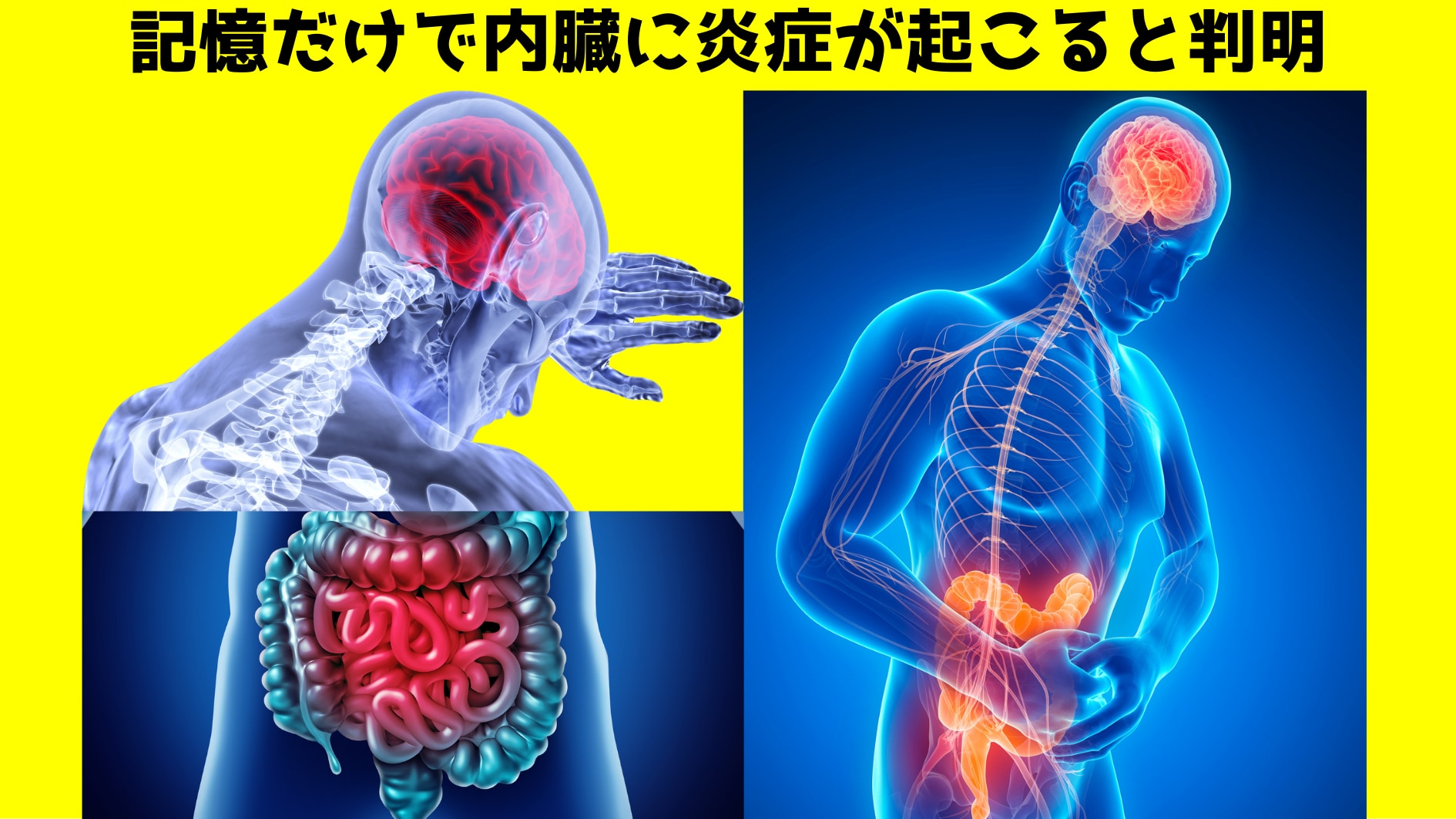 記憶だけで内臓に炎症が発生すると判明！　病は気からの原理解明か